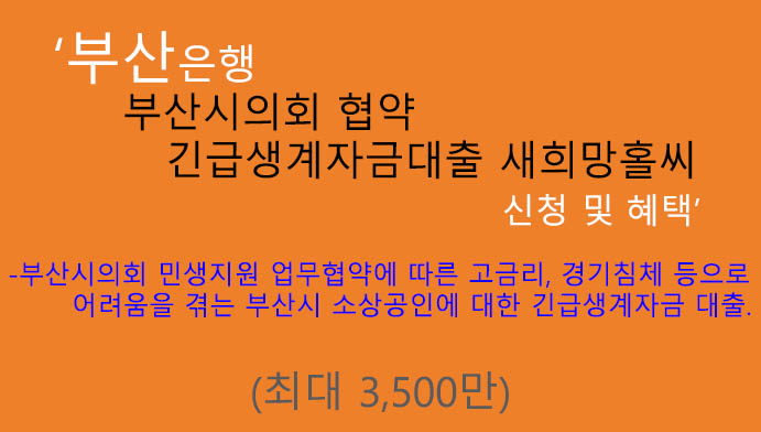 부산은행 부산시의회 협약 긴급생계자금대출 새희망홀씨 신청 및 혜택(최대 3500만원): 저금리, 소상공인 추천 신용대출 상품