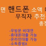 비대면 핸드폰 소액 대출 무직자 추천상품 총정리: 무방문, 휴대폰 및 온라인대출, 소득증빙X