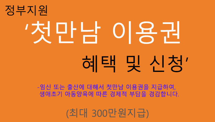 첫만남 이용권 혜택 및 신청(최대 300만원지급): 임신 및 출산, 정부지원 복지정책 지원금, 국민행복카드