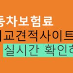 자동차보험료 비교견적사이트 실시간 확인방법