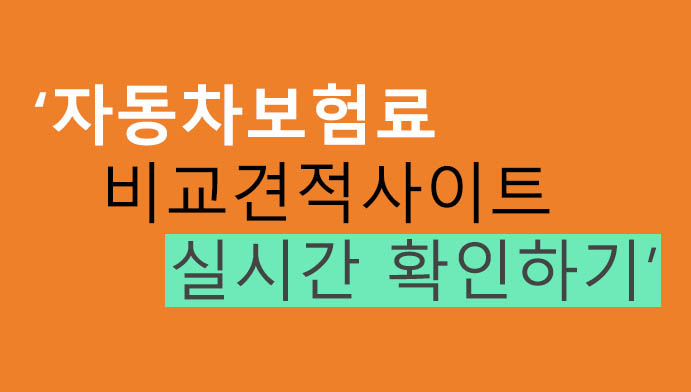 자동차보험료 비교견적사이트 실시간 확인방법