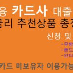 1금융 카드사 대출 저금리 추천상품 총정리 신청 및 혜택: 핸드폰대출, 인터넷대출, 비대면