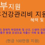 산후건강관리비 지원금 혜택 및 신청(현금 100만원): 정부지원 상품, 임신, 출산 지원금