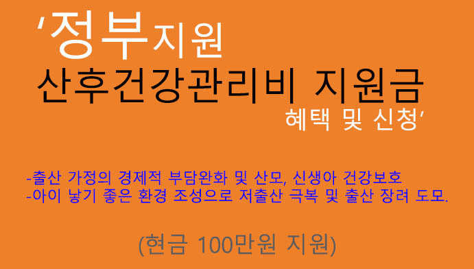 산후건강관리비 지원금 혜택 및 신청(현금 100만원): 정부지원 상품, 임신, 출산 지원금