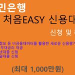 국민은행 KB 처음EASY 신용대출 신청 및 혜택(최대 1000만원): 사회초년생, 주부, 통신정보 신용평가, 인터넷대출