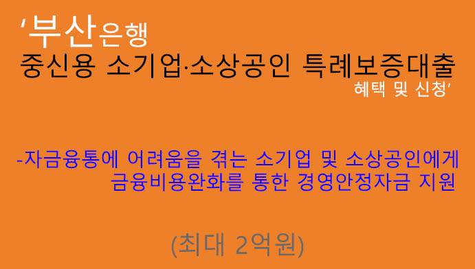 부산은행 중신용 소기업·소상공인 특례보증대출 혜택 및 신청(최대 2억원): 경영안정자금, 서민지원, 개인, 개인 사업자, 기업 추천상품