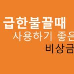당장 급한불끌때 사용하기 좋은 비상금대출: 정부지원, 저금리, 저신용, 연체자