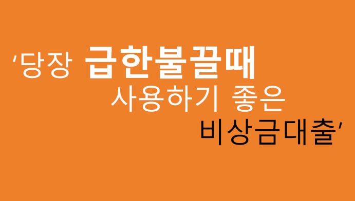 당장 급한불끌때 사용하기 좋은 비상금대출: 정부지원, 저금리, 저신용, 연체자