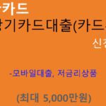 신한카드 장기카드대출(카드론) 신청방법: 최대 5000만원, 모바일대출, 저금리상품