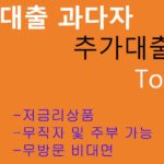 기대출 과다자 추가대출 Top5: 저금리, 무직자 추천