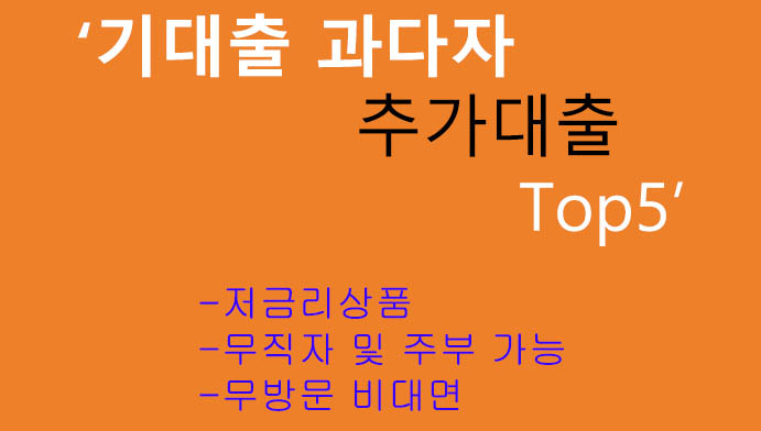 기대출 과다자 추가대출 Top5: 저금리, 무직자 추천