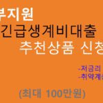 정부지원 긴급생계비대출 추천상품 신청방법(100만원): 저금리, 취약계층