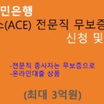 KB국민은행 에이스(ACE) 전문직 무보증대출 신청 및 혜택(최대 3억원)