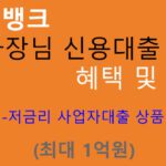 케이뱅크 사장님 신용대출 혜택 및 신청(최대 1억원): 사업자대출
