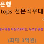신한은행 tops 전문직우대론 신청방법(최대 3억원): 전문직 종사자, 무보증, 개인사업자, 급여소득자