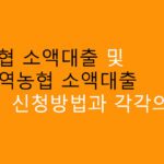 NH농협 소액대출 및 지역농협 소액대출 신청방법과 각각의 혜택