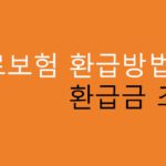 의료보험 환급방법 및 환급금 조회