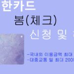 신한카드 봄(체크) 신청 및 혜택: 국내외 최대 0.3% 캐시백, 대중교통 200원 캐시백