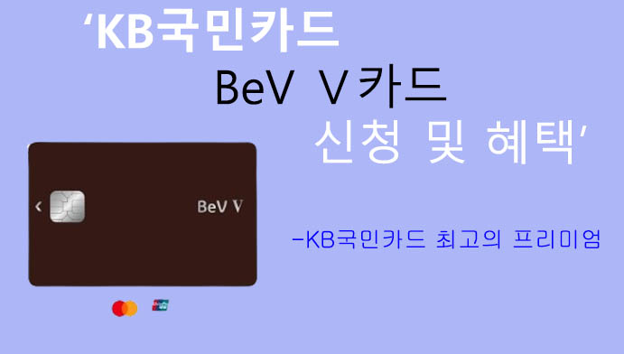 KB국민카드 BeV Ⅴ카드 신청 및 혜택: 스카이패스형, 포인트형