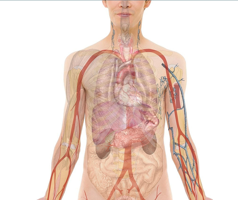 8체질 자가진단 테스트 방법