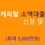 현대캐피탈 소액대출 신청 및 혜택(최대 5000만원)