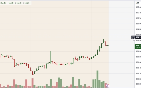 탑런토탈솔루션 공모주2