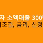 연체자 소액대출 300만원: 자격조건, 금리, 신청방법
