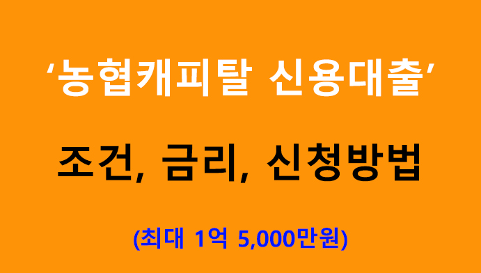 농협캐피탈 신용대출 조건, 금리, 신청방법: 최대 1억 5000만원