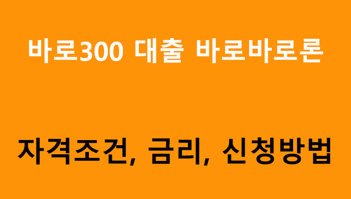 바로300 대출 바로바로론 조건, 금리, 신청방법(최대 3000만원)