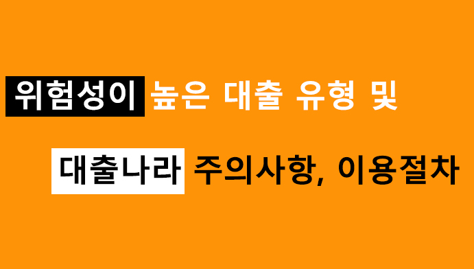 위험성이 높은 대출 유형 및 대출나라 주의사항, 이용절차