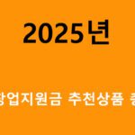 2025 청년창업지원금 추천상품 총정리