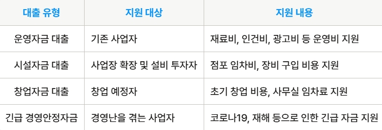 대출의 특징 및 지원 내용