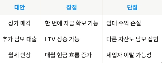 대출 외 선택할 수 있는 대안 요약