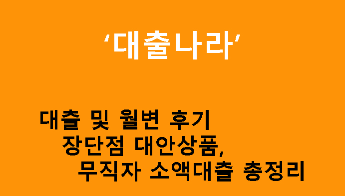 대출나라 대출 및 월변 후기 장단점 대안상품, 무직자 소액대출 총정리
