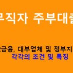 무직자 주부대출: 1금융,2금융,대부업체 및 정부지원 상품 각각의 조건 및 특징