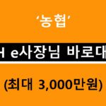 농협 NH e사장님 바로대출 조건, 금리, 신청방법(최대 3000만원)
