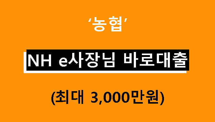 농협 NH e사장님 바로대출 조건, 금리, 신청방법(최대 3000만원)