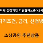 부산시 미래 성장기업 지원협약보증(KB국민은행): 조건, 금리, 신청방법, 소상공인 추천상품