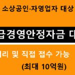 소상공인·자영업자 대상 긴급경영안정자금 대출: 대리 및 직접 접수 가능(최대 10억원)