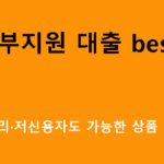 정부지원 대출 best7: 저금리·저신용자도 가능한 상품 총정리