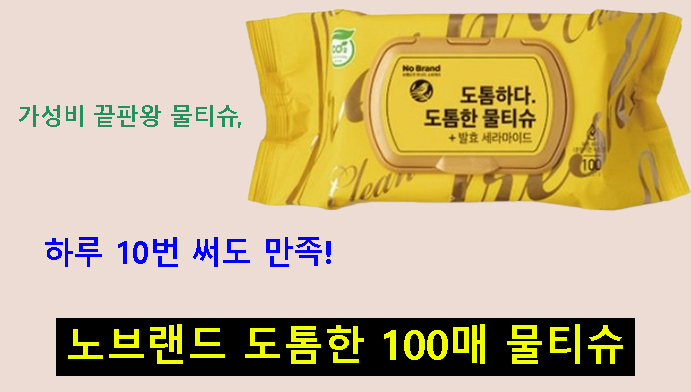 가성비 끝판왕 물티슈, 하루 10번 써도 만족! 노브랜드 도톰한 100매 물티슈