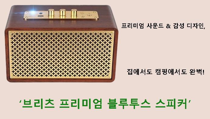 프리미엄 사운드 & 감성 디자인, 집에서도 캠핑에서도 완벽! 브리츠 프리미엄 블루투스 스피커