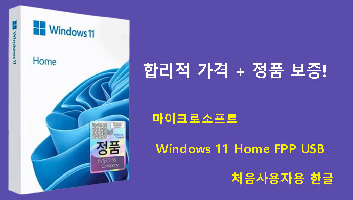 합리적 가격 + 정품 보증! 마이크로소프트 Windows 11 Home FPP USB 처음사용자용 한글