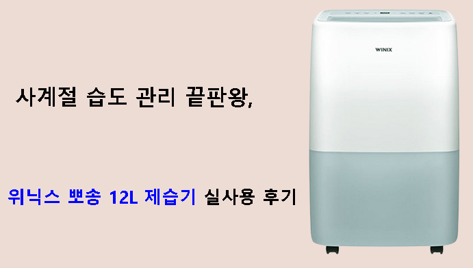 사계절 습도 관리 끝판왕, 위닉스 뽀송 12L 제습기 실사용 후기