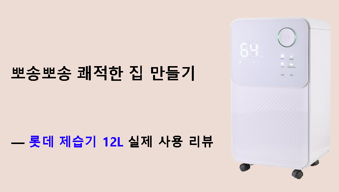 뽀송뽀송 쾌적한 집 만들기 — 롯데 제습기 12L 실제 사용 리뷰