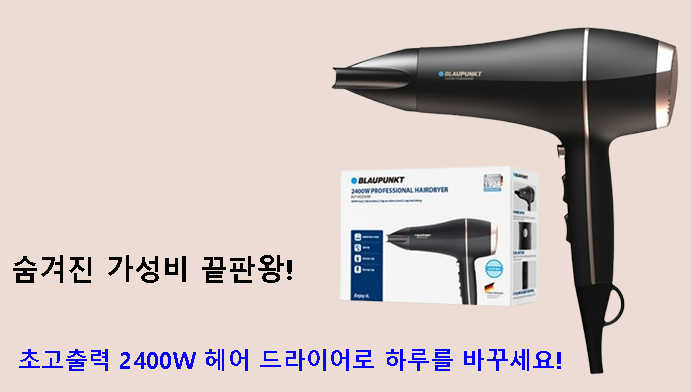 숨겨진 가성비 끝판왕! 초고출력 2400W 헤어 드라이어로 하루를 바꾸세요!