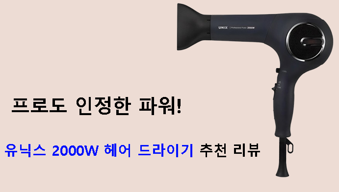 프로도 인정한 파워! 유닉스 2000W 헤어 드라이기 추천 리뷰