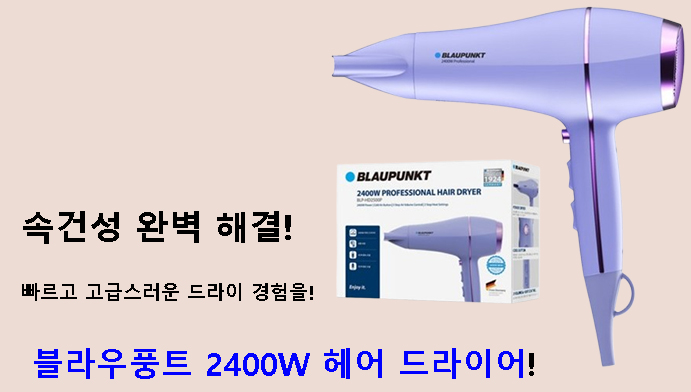 속건성 완벽 해결! 블라우풍트 2400W 헤어 드라이어로 빠르고 고급스러운 드라이 경험을!