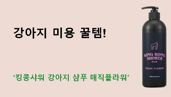 강아지 미용 꿀템! 킹콩샤워 강아지 샴푸 매직플라워