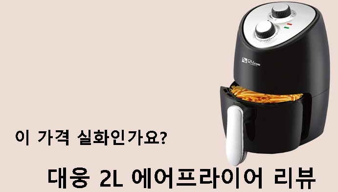 이 가격 실화인가요? 대웅 2L 에어프라이어 리뷰